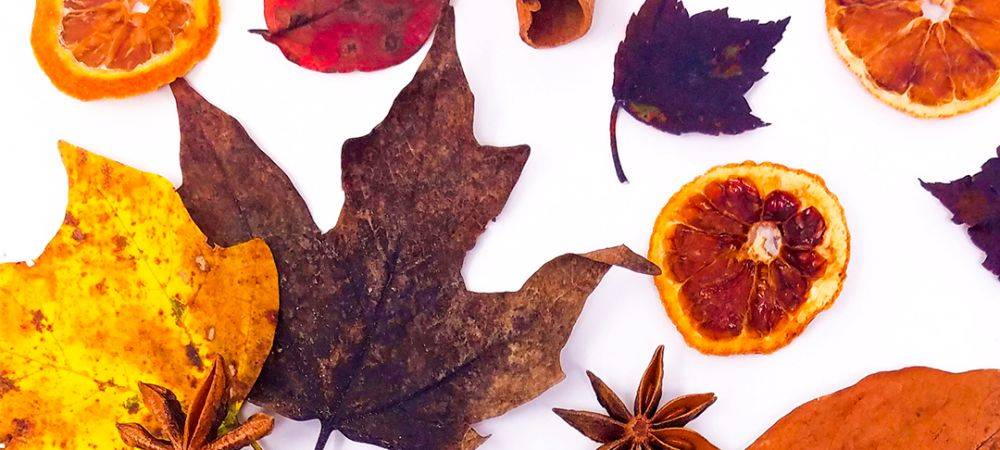 Spice Up Fall with Clementine